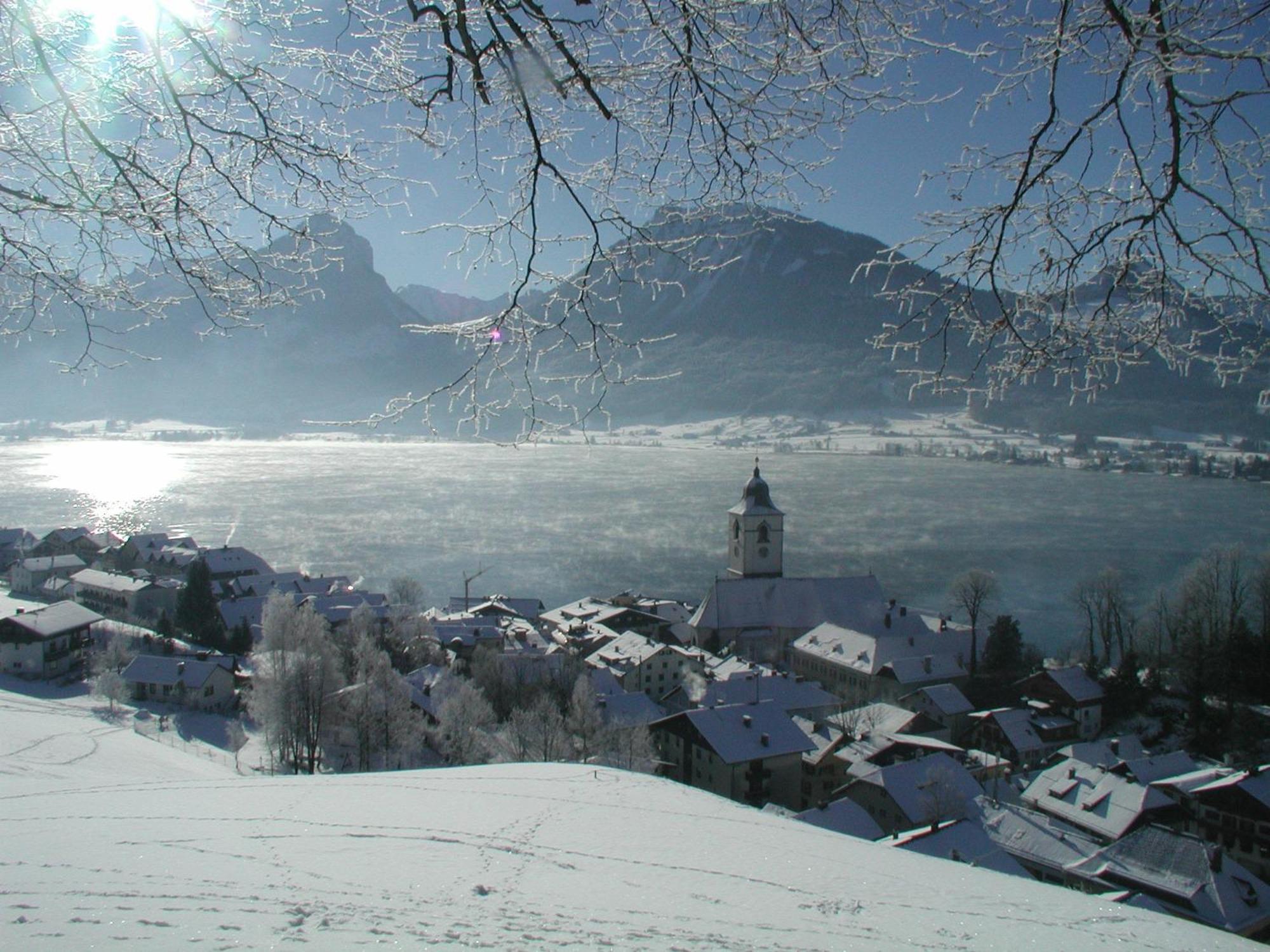Aberseeblick Ellmauer Apartment *